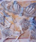 Modrý nádech, kompletní set spodního prádla Michaela Lingerie 